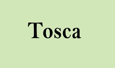 Tosca Online Training